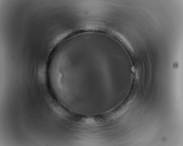 X0000102840588200808181350