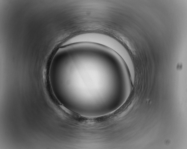 X0000102840589200808181350