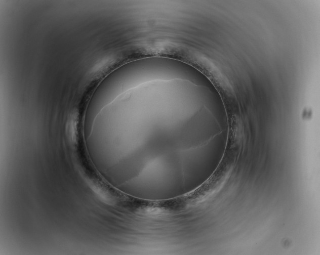 X0000102840590200808181350