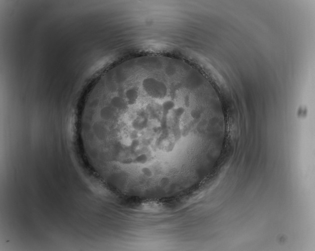 X0000102840591200808181350