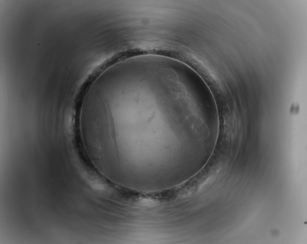 X0000102840592200808181350