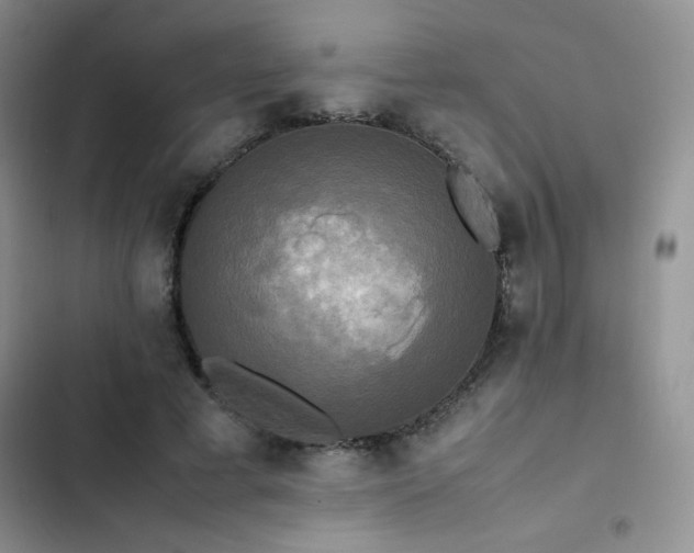 X0000102840593200808181350