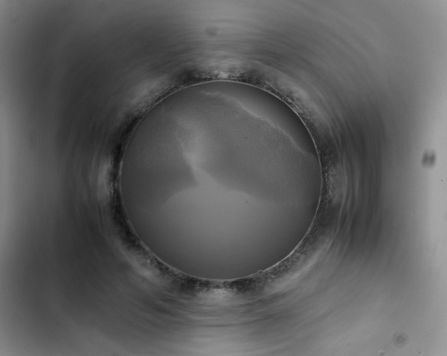 X0000102840594200808181350