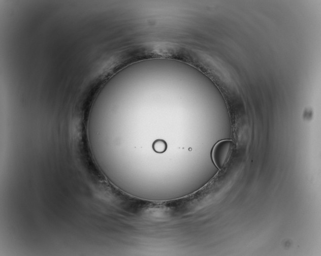 X0000102840595200808181350