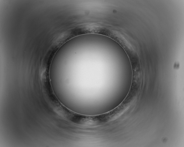 X0000102840597200808181350