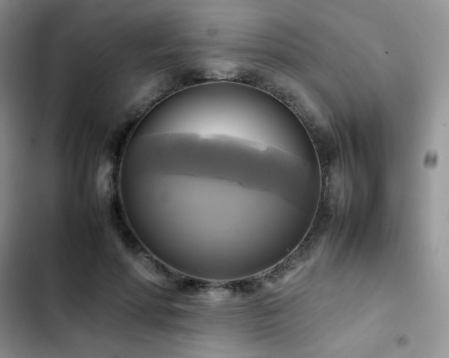 X0000102840598200808181350