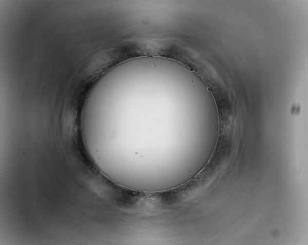 X0000102840599200808181350