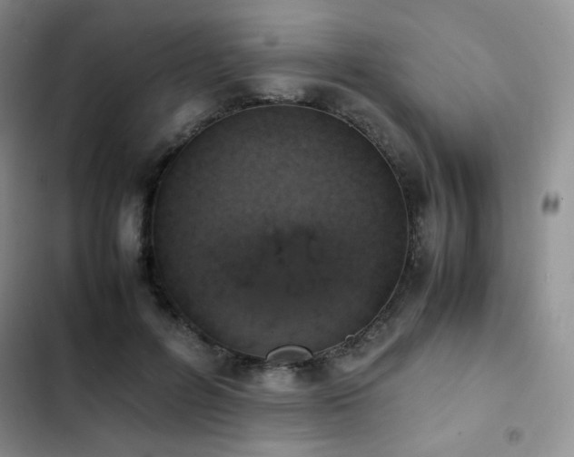 X0000102840600200808181350