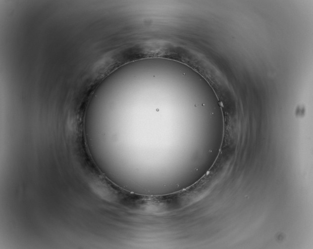 X0000102840601200808181350