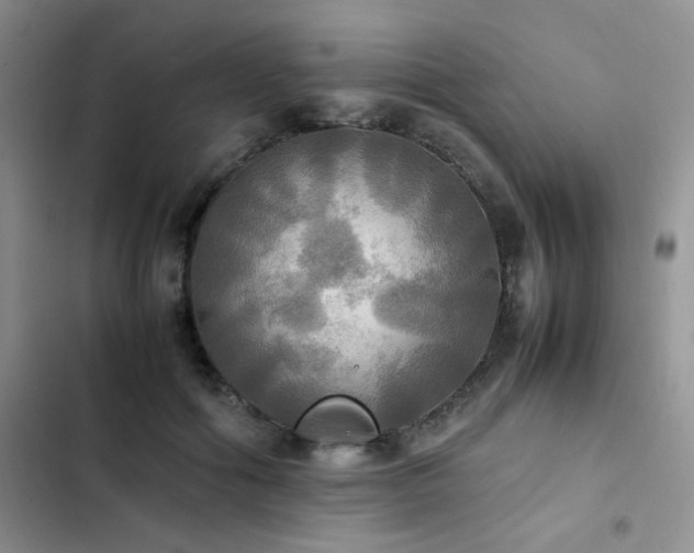 X0000102840602200808181350