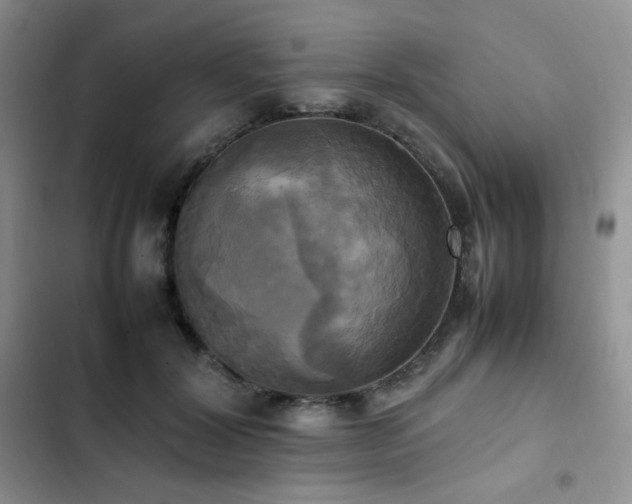 X0000102840604200808181350