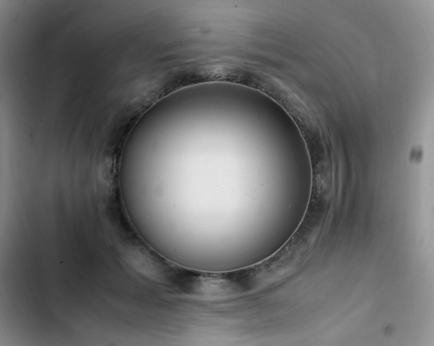 X0000102840605200808181350