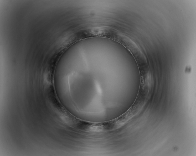 X0000102840606200808181350