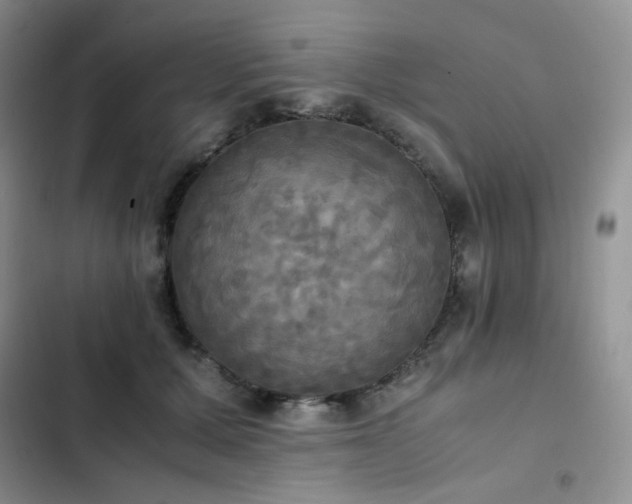 X0000102840607200808181350