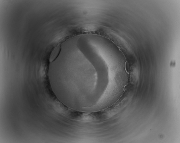 X0000102840608200808181350