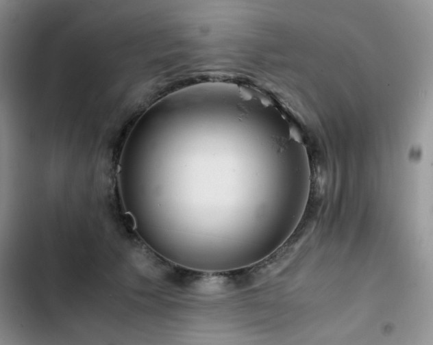 X0000102840609200808181350