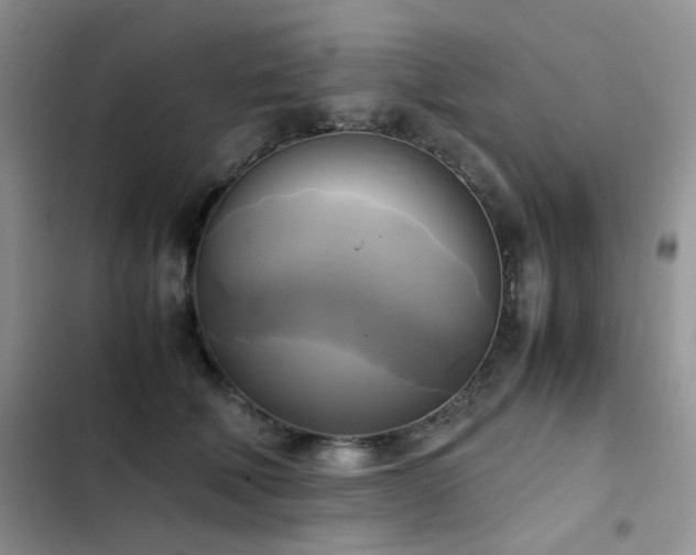 X0000102840610200808181350