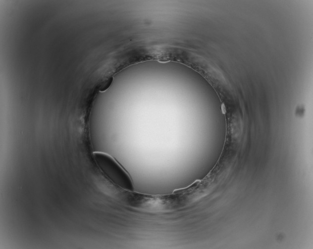 X0000102840611200808181350