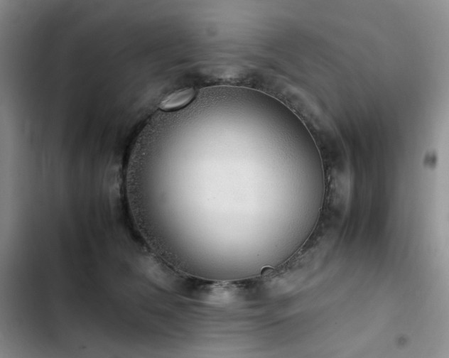 X0000102840612200808181350