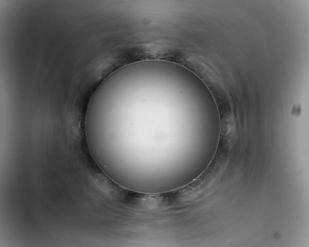 X0000102840615200808181350