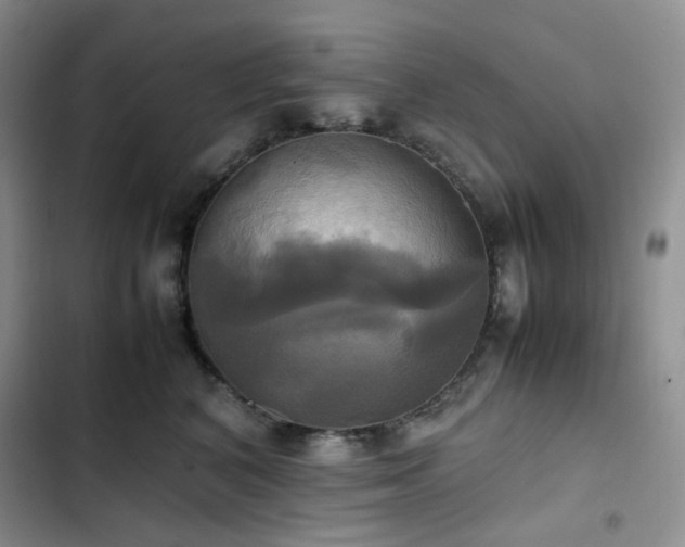 X0000102840616200808181350