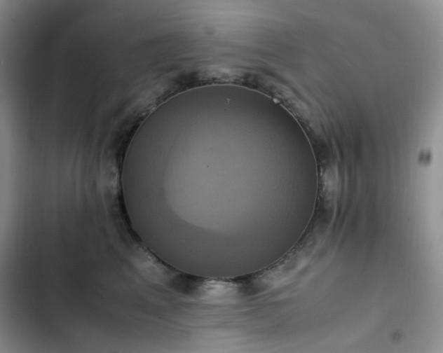 X0000102840617200808181350