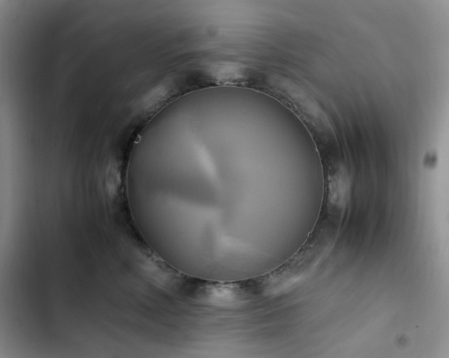 X0000102840618200808181350