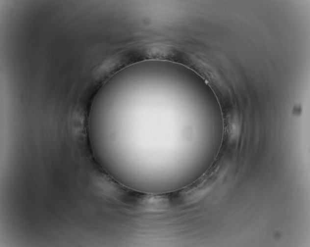 X0000102840619200808181350