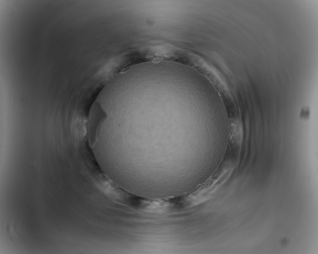 X0000102840621200808181349