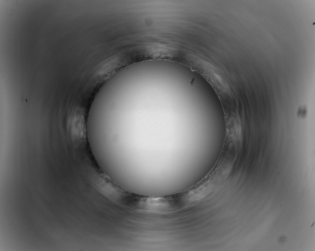 X0000102840622200808181349