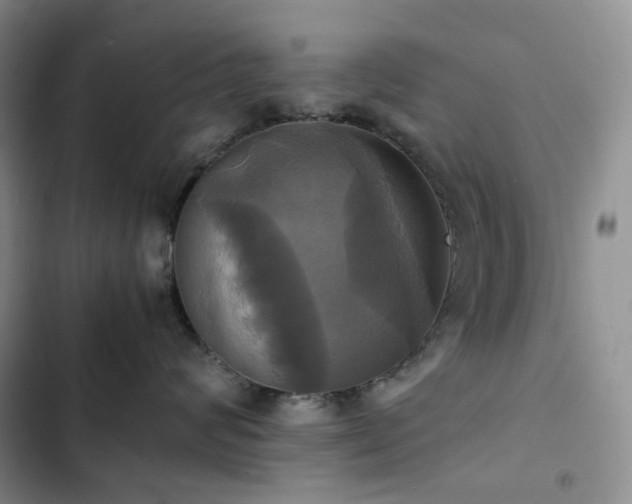 X0000102840624200808181349