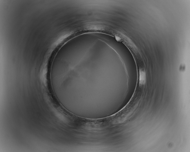 X0000102840627200808181349