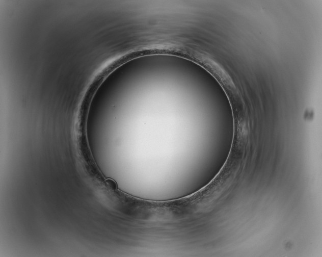 X0000102840628200808181349