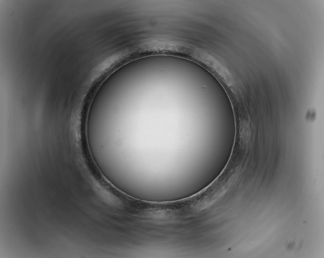 X0000102840629200808181349