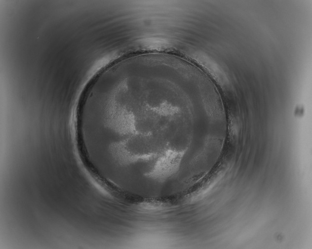 X0000102840630200808181349