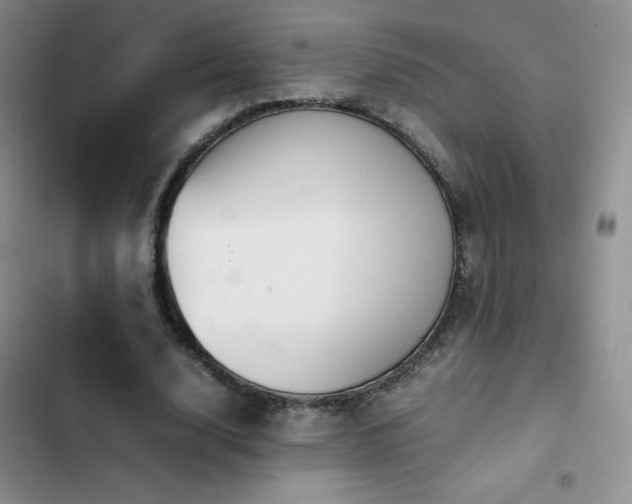 X0000102840632200808181349