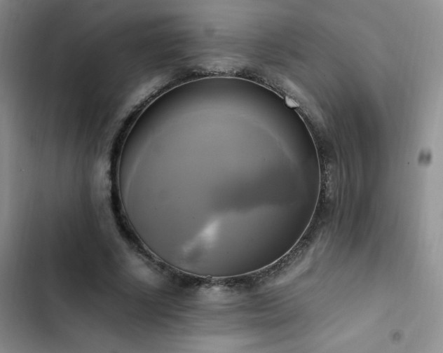 X0000102840634200808181349