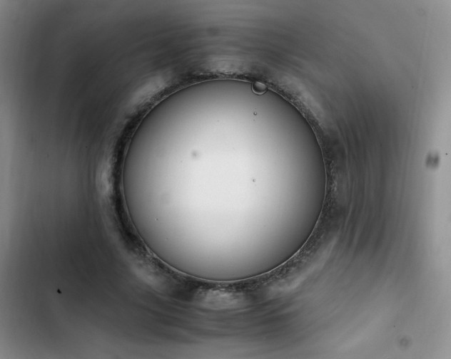 X0000102840635200808181349