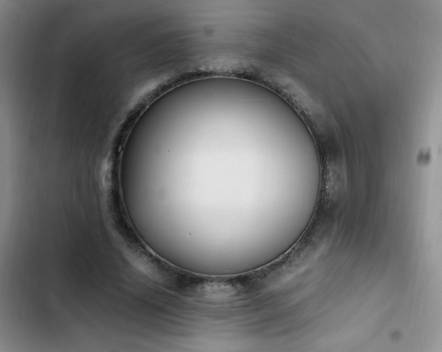 X0000102840636200808181349