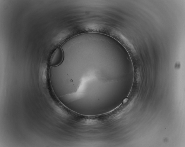 X0000102840637200808181349