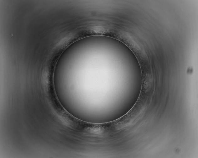 X0000102840639200808181349