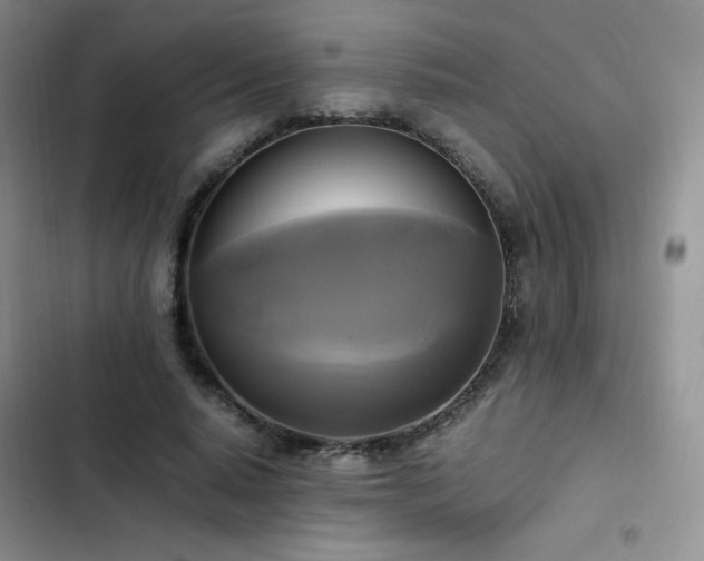 X0000102840640200808181349