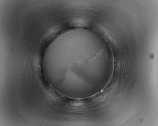 X0000102840643200808181349