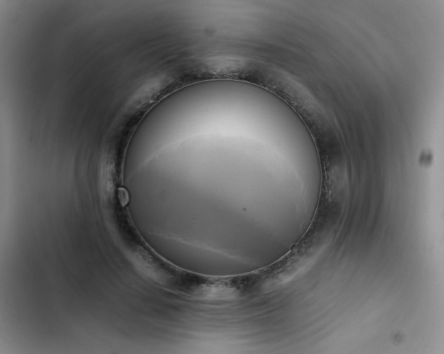 X0000102840644200808181349