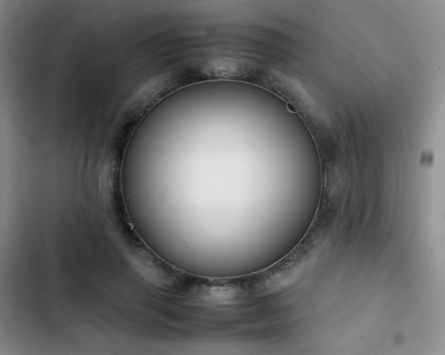 X0000102840645200808181349