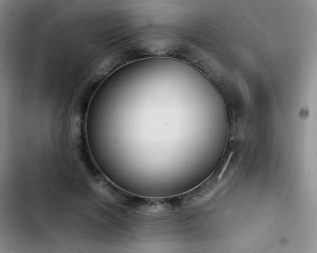 X0000102840646200808181349