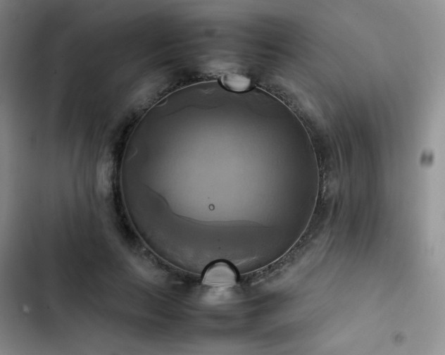 X0000102840647200808181349