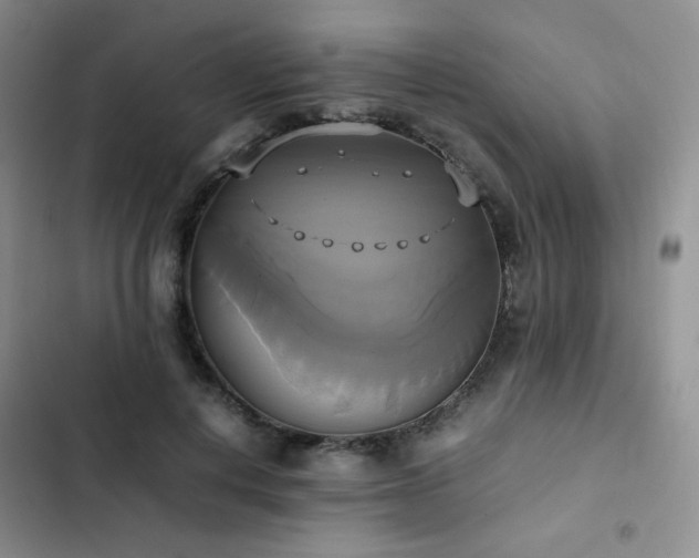 X0000102840648200808181349