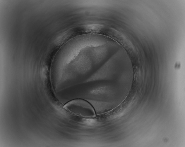 X0000102840649200808181349