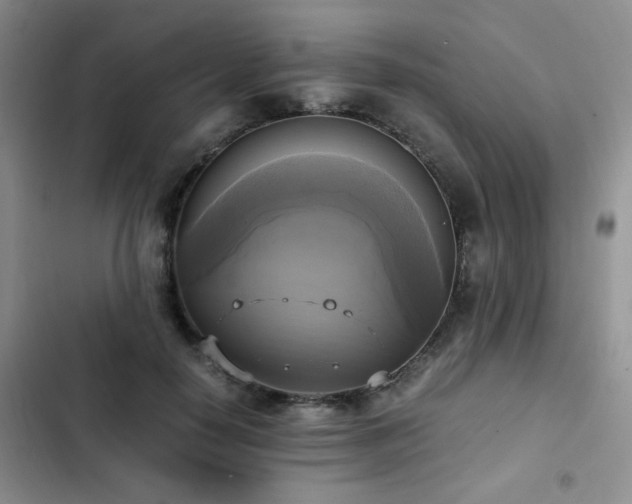 X0000102840650200808181349